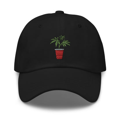 Kaya Solo Cup Dad Hat