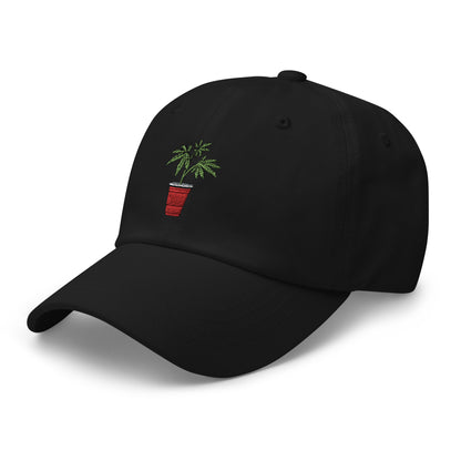 Kaya Solo Cup Dad Hat