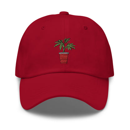 Kaya Solo Cup Dad Hat