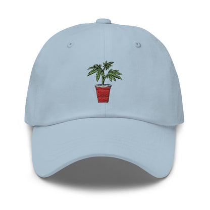 Kaya Solo Cup Dad Hat