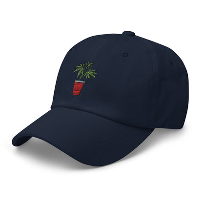 Kaya Solo Cup Dad Hat