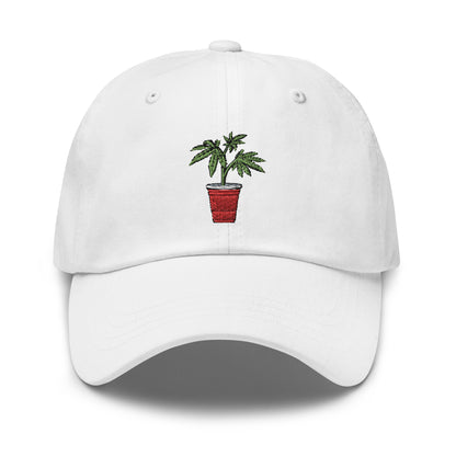 Kaya Solo Cup Dad Hat