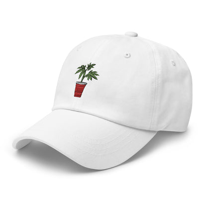 Kaya Solo Cup Dad Hat